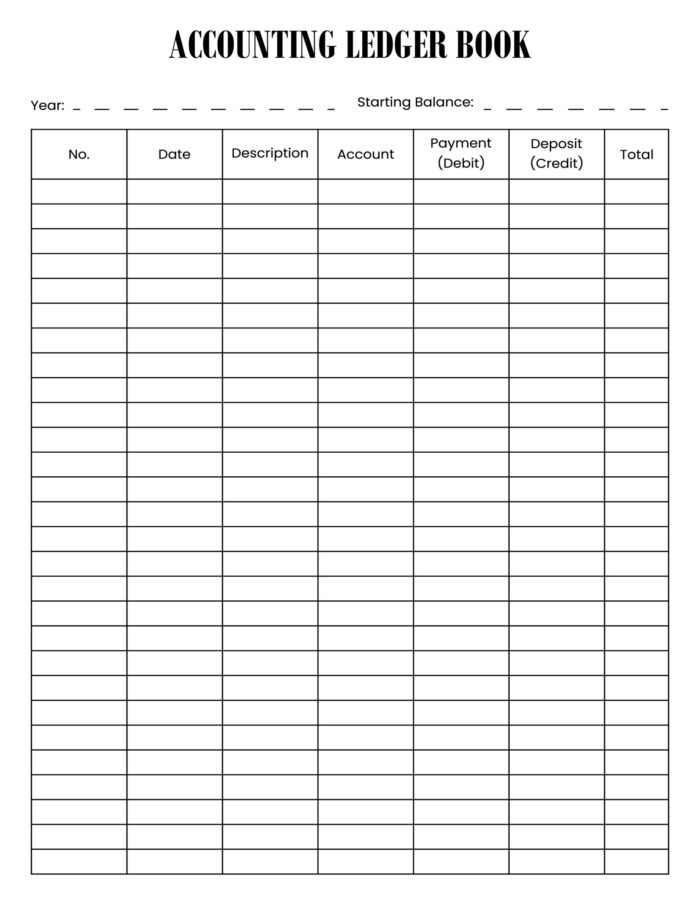 Accounting Ledger Book - Image 3